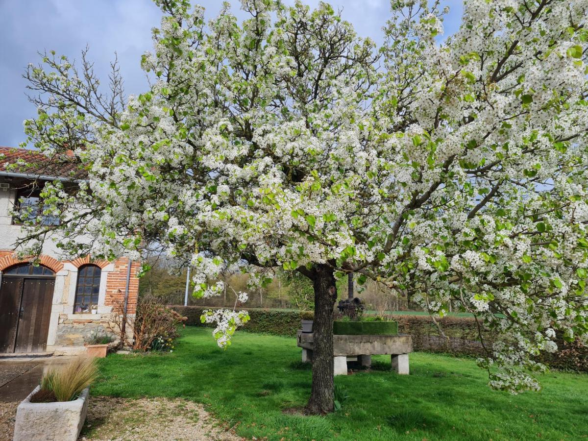 Вілла Domaine Du Cuiset - Gite Du Four A Pain Saint-Andre-sur-Vieux-Jonc Екстер'єр фото